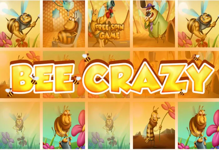 Ruleta en vivo Spingrande Casino Aplicación Móvil y Juegos.