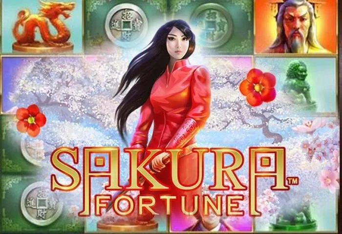 Bonus benvenuto Spingrande Casino offerta speciale.